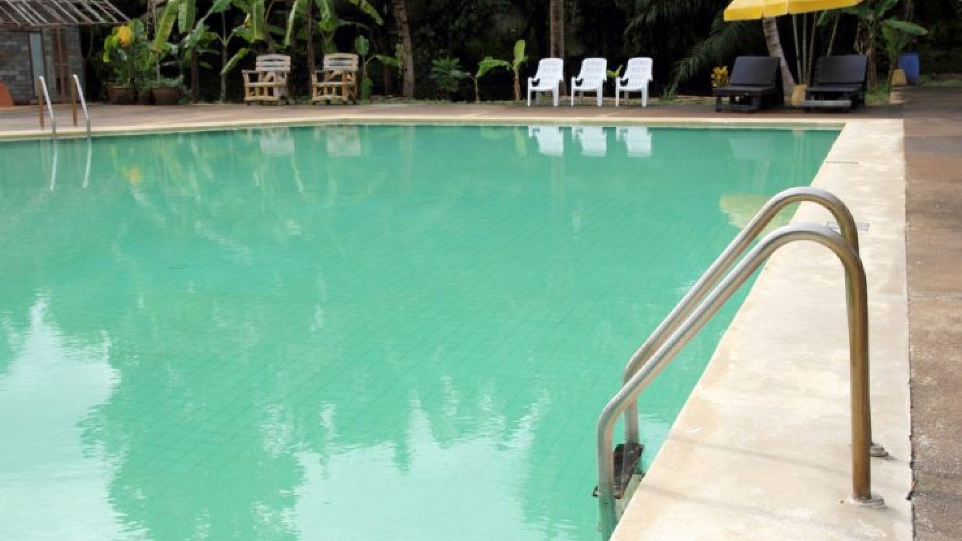 agua de la piscina de color verde